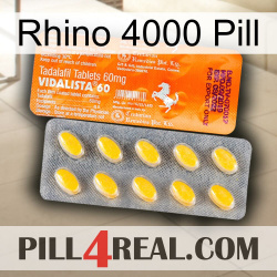 Rhino 4000 Pill